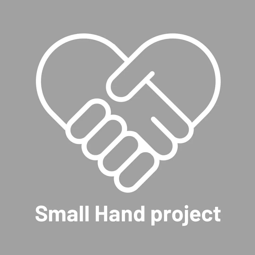 Small Hand project